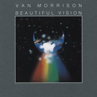 Beautiful Vision (Vinyl) Mp3