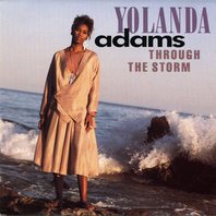 Through The Storm Mp3