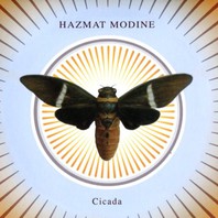Cicada Mp3