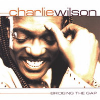 Bridging The Gap Mp3