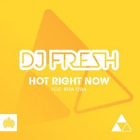 Hot Right Now (CDM) Mp3