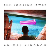 The Looking Away Mp3