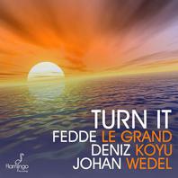 Turn It (With Deniz Koyu & Johan Wedel) Mp3