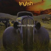 Curious Things Mp3