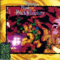 The Strange Mind Of Buddy Lackey Mp3
