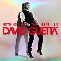 Nothing But The Beat 2.0 Mp3