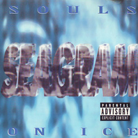 Souls On Ice Mp3