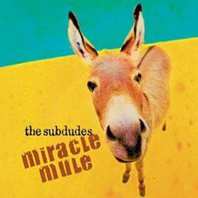 Miracle Mule Mp3