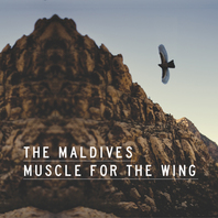 Muscle For The Wing Mp3