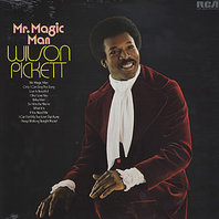 Mr. Magic Man (Vinyl) Mp3