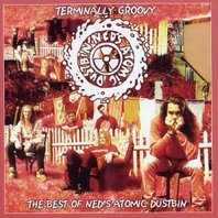 Terminally Groovy Best Of Ned's Atomic Dustbin Mp3