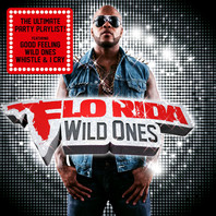 Wild Ones (Holiday Edition) Mp3