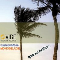 Beatsoulvibes (Special Edition) Mp3