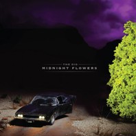 Midnight Flowers Mp3