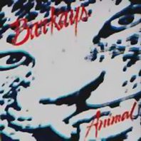 Animal Mp3