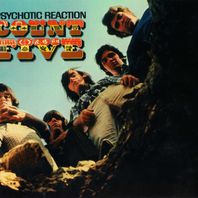 Psychotic Reaction (Remastered 2007) Mp3