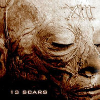 13 Scars Mp3