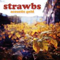 Acoustic Gold Mp3