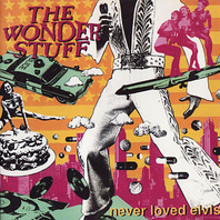 Never Loved Elvis (Remastered 2000) Mp3
