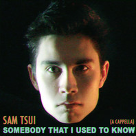 Somebody That I Used To Know (A Cappella) (CDS) Mp3
