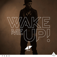 Wake Me Up (CDS) Mp3