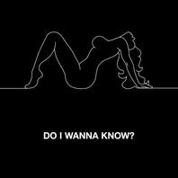 Do I Wanna Know? (CDS) Mp3