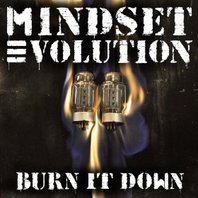 Burn It Down (CDS) Mp3