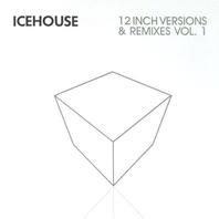 12 Inch Versions And Remixes Vol. 1 CD1 Mp3