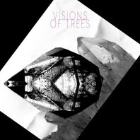 Visions Of Trees Mp3