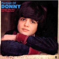 Portrait Of Donny (Vinyl) Mp3
