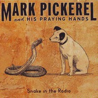 Snake In The Radio Mp3