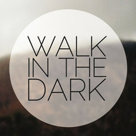 Walk In The Dark (CDS) Mp3