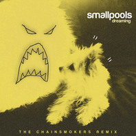 Dreaming (The Chainsmokers Remix) (CDS) Mp3