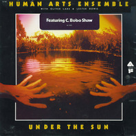 Under The Sun (Vinyl) Mp3