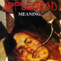 Meaning Mp3