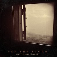 See The Storm Mp3