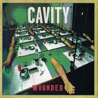 Wounded (EP) (Vinyl) Mp3