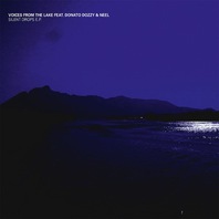Silent Drop (With Donato Dozzy & Neel) (EP) Mp3