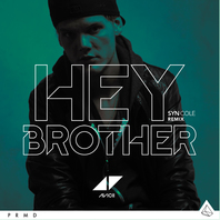 Hey Brother (CDS) Mp3
