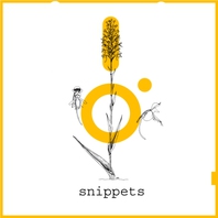 Snippets Mp3