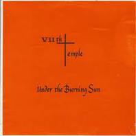 Under The Burning Sun (Vinyl) Mp3