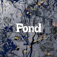 The Pond Mp3