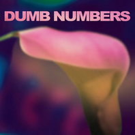 Dumb Numbers Mp3