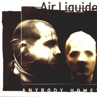 Anybody Home? (Illegal Version) Mp3