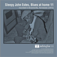 Blues At Home 11 Mp3