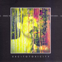 Excitotoxicity (With Graham Bowers) Mp3