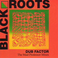 Dub Factor - The Mad Professor Mixes Mp3