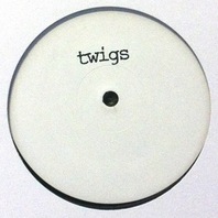 Twigs (EP) Mp3