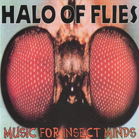 Music For Insect Minds Mp3
