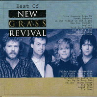 Best Of New Grass Revival Mp3